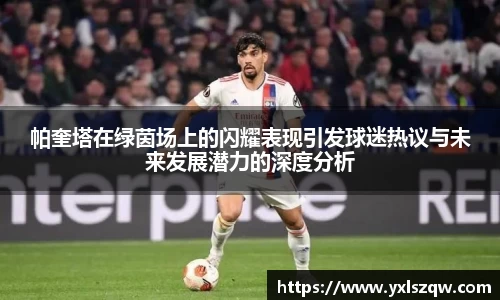 帕奎塔在绿茵场上的闪耀表现引发球迷热议与未来发展潜力的深度分析